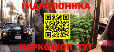 винт Шахты