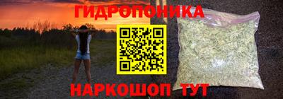 винт Шахты
